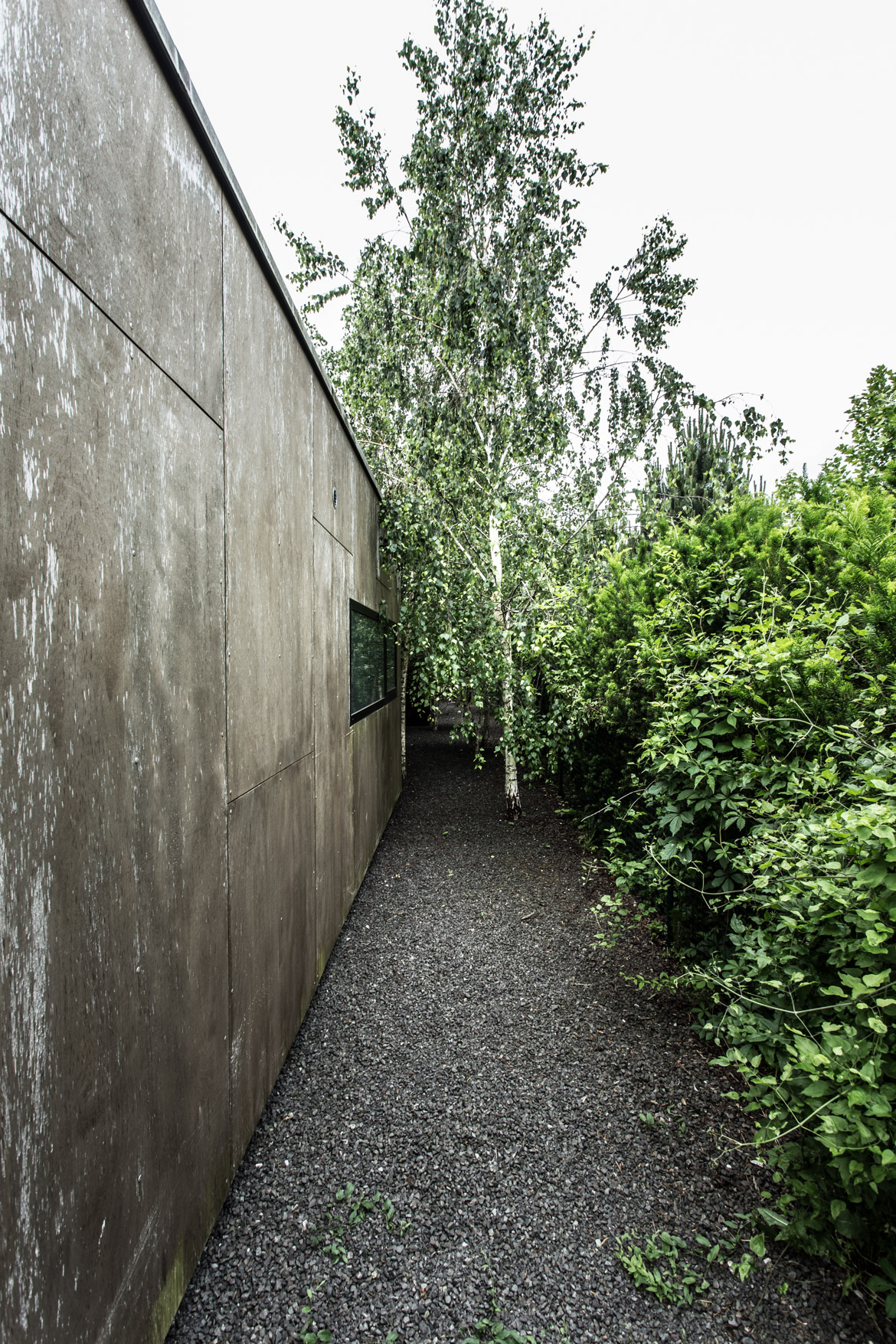 MF_p1170px-7