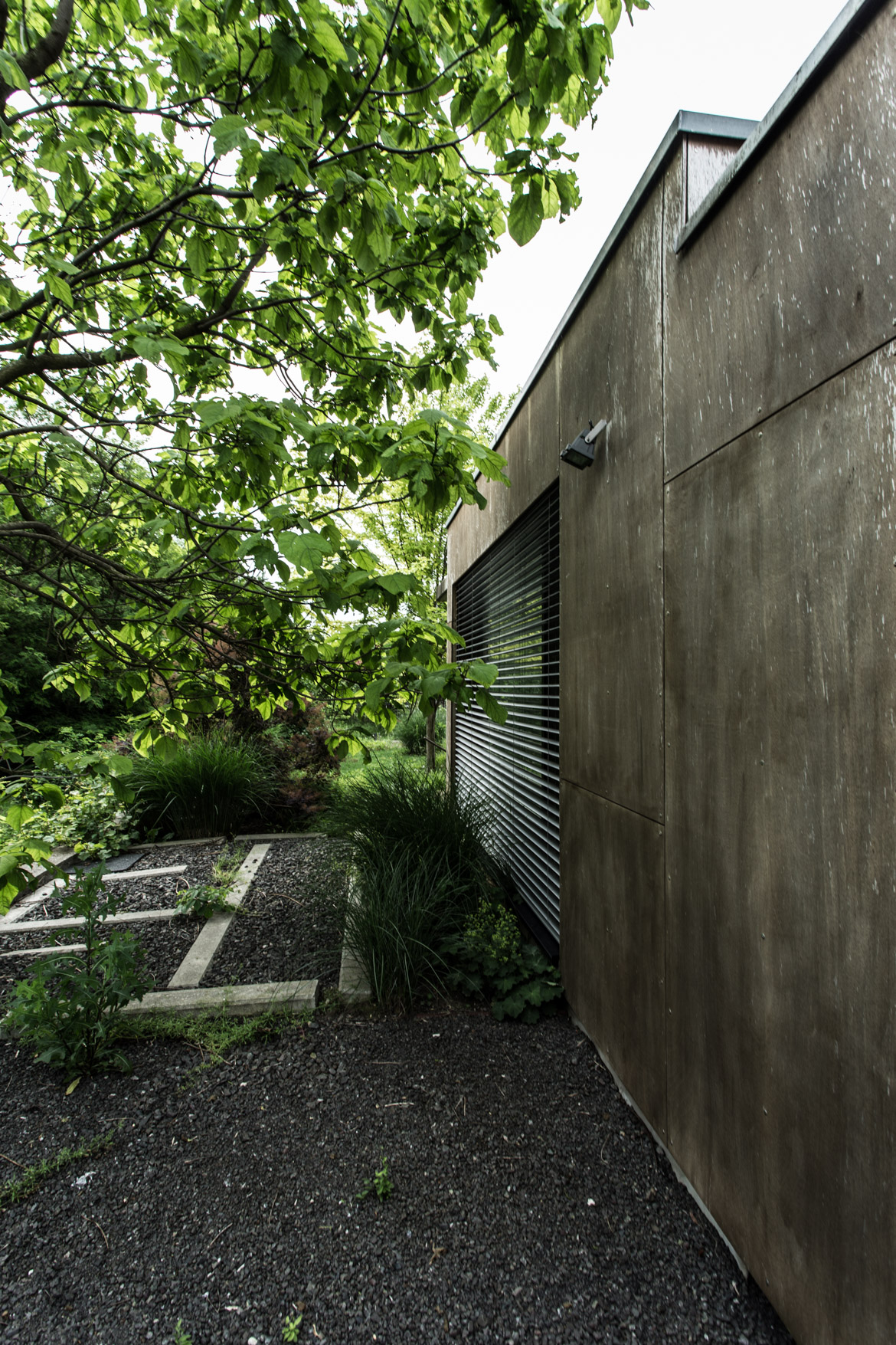 MF_p1170px-8