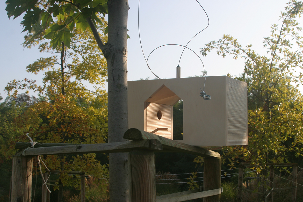 birdhouse_2