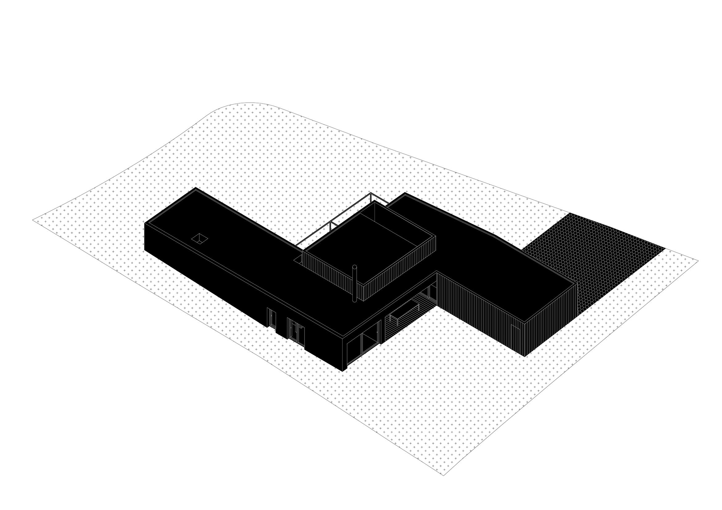 axo-2