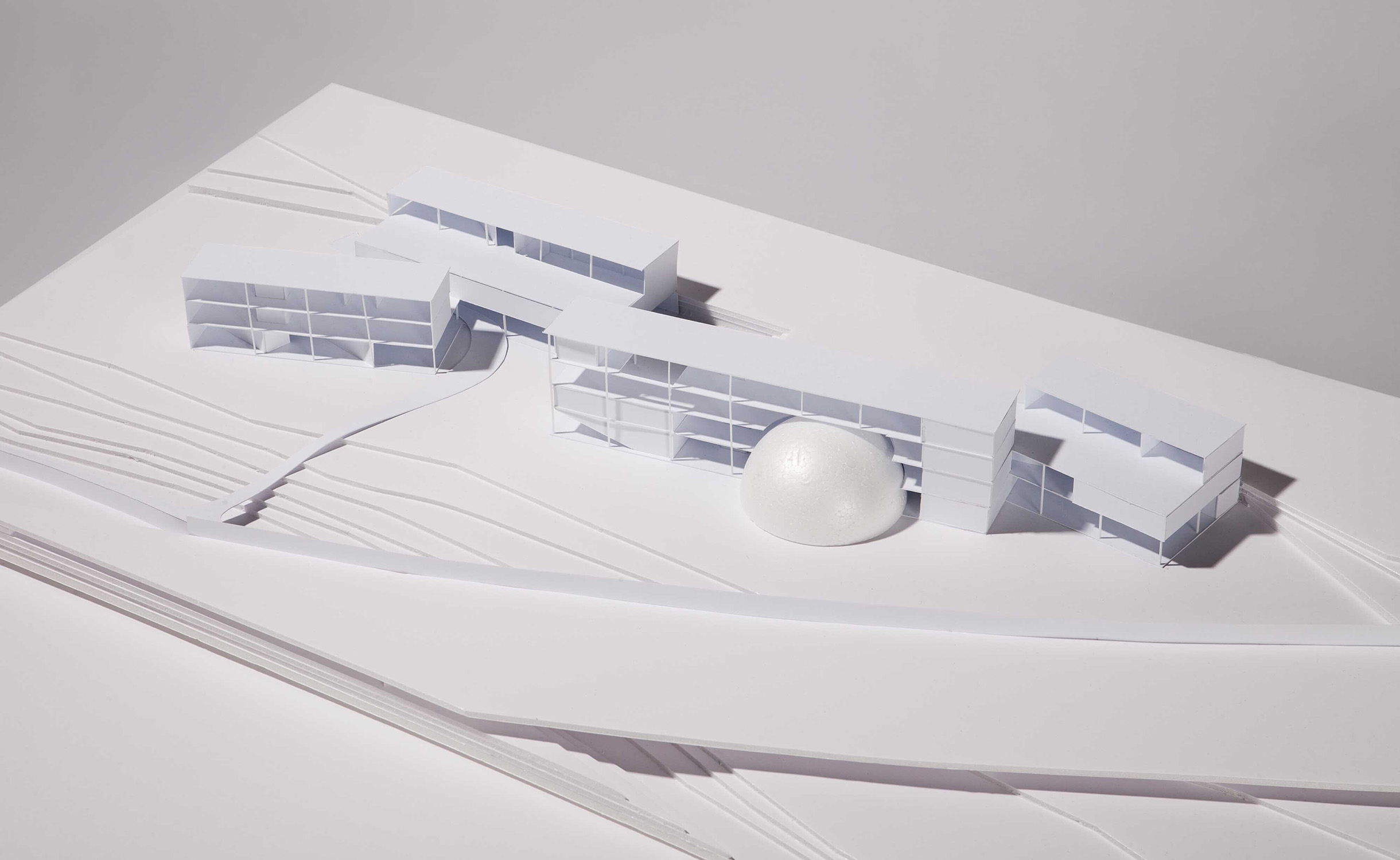 ZCV_plusminus_model
